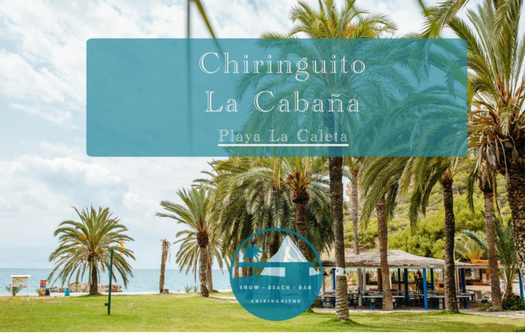 Hacienda Del Mar Appartement
